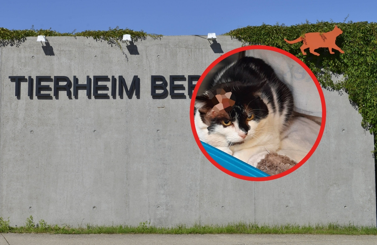 Tierheim Berlin