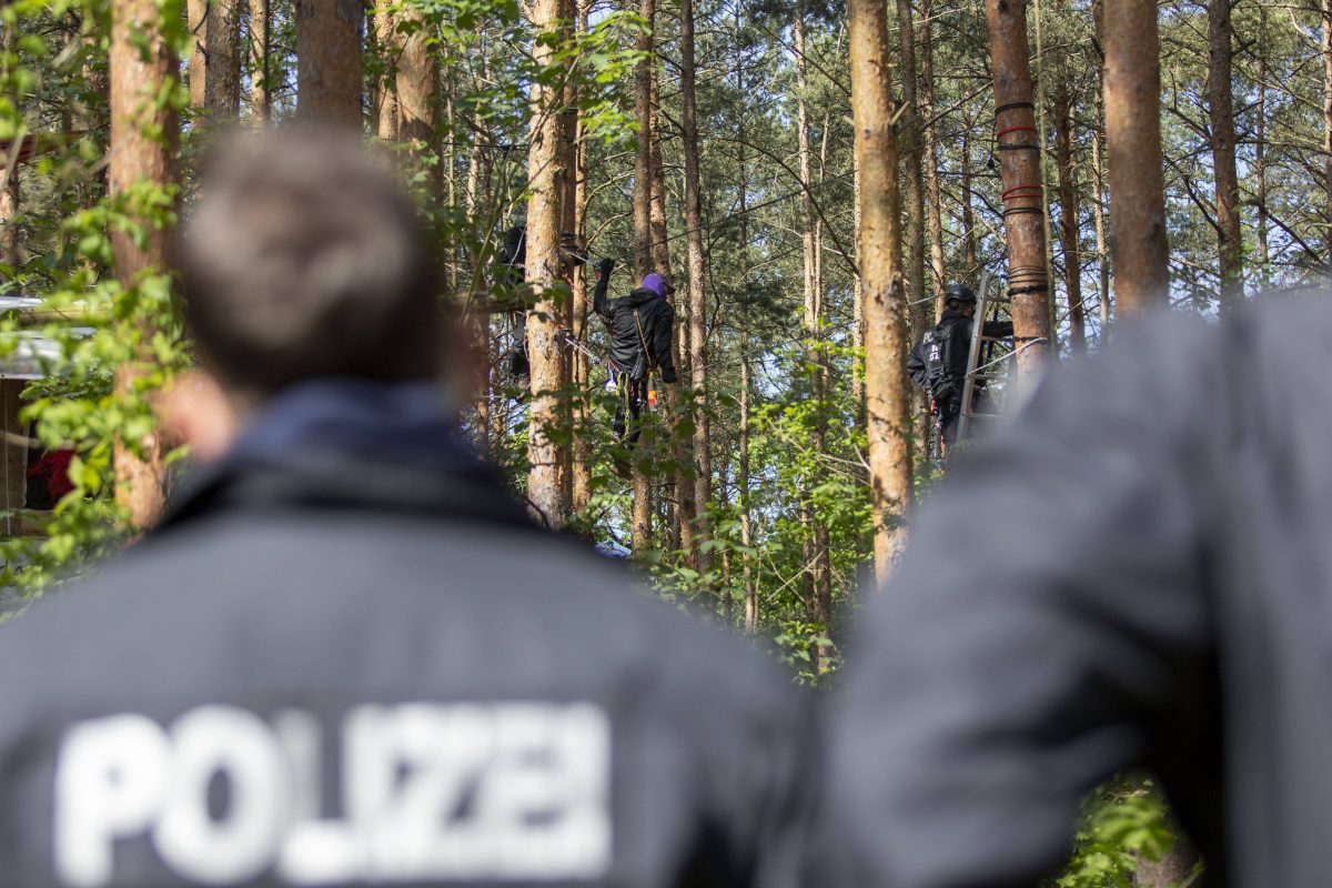 Viele Menschen in Berlin sind alarmiert wegen eines Vorhabens des Senats (Bild einer Besetzung der Wuhlheide in 2023)