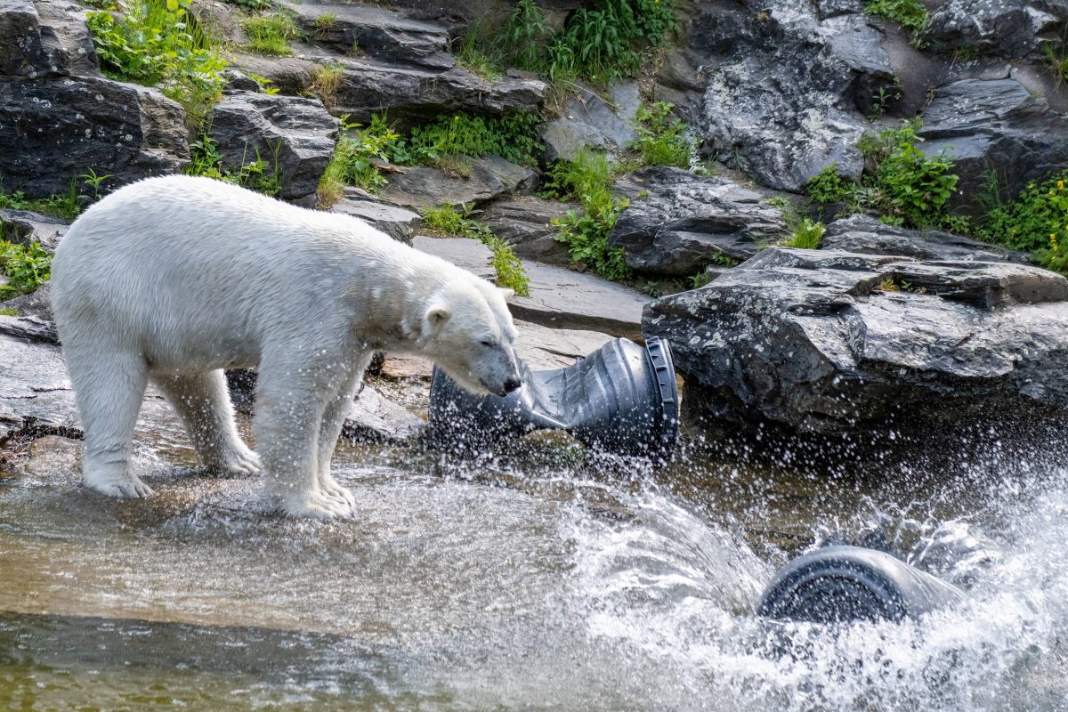 Tierpark Berlin