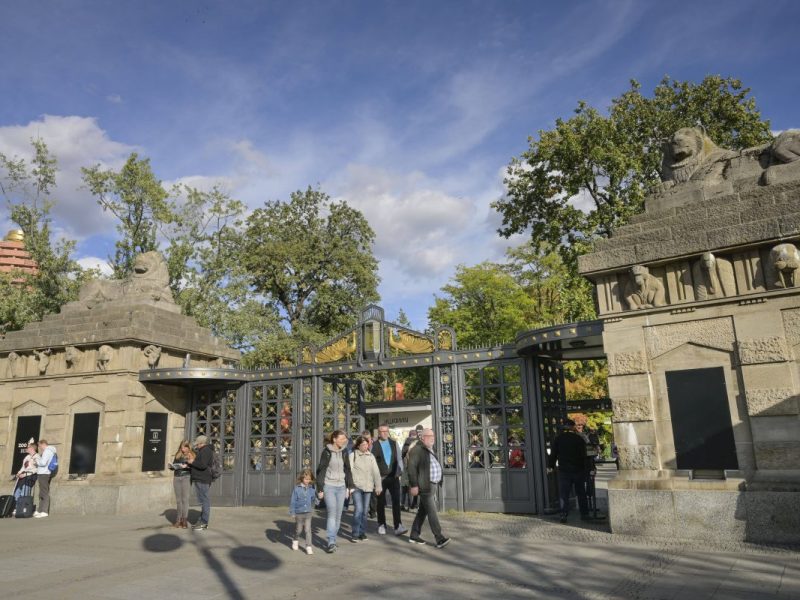 Zoo Berlin mit einmaligem Angebot – doch nicht alle Besucher profitieren
