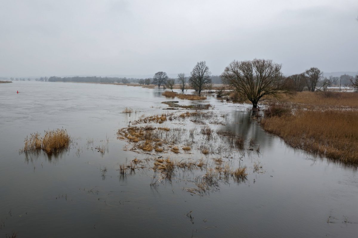 Wetter in Berlin & Brandenburg