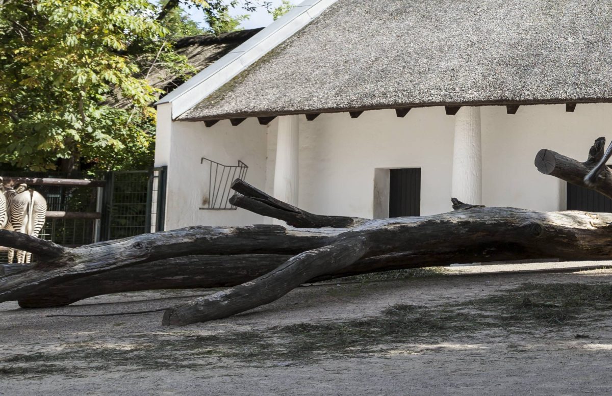 Zoo Berlin