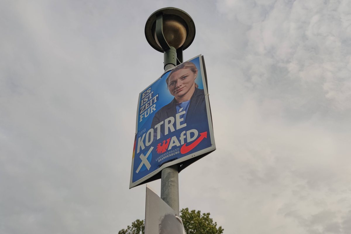 Brandenburg-Wahl