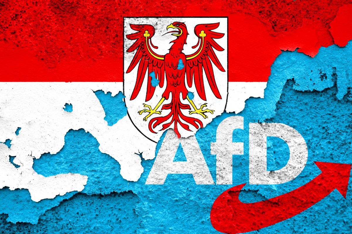 Die AfD bei der Brandenburg-Wahl 2024